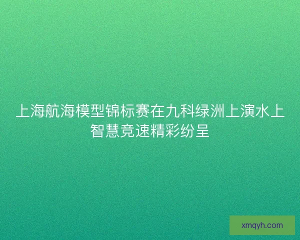 上海航海模型锦标赛在九科绿洲上演水上智慧竞速精彩纷呈